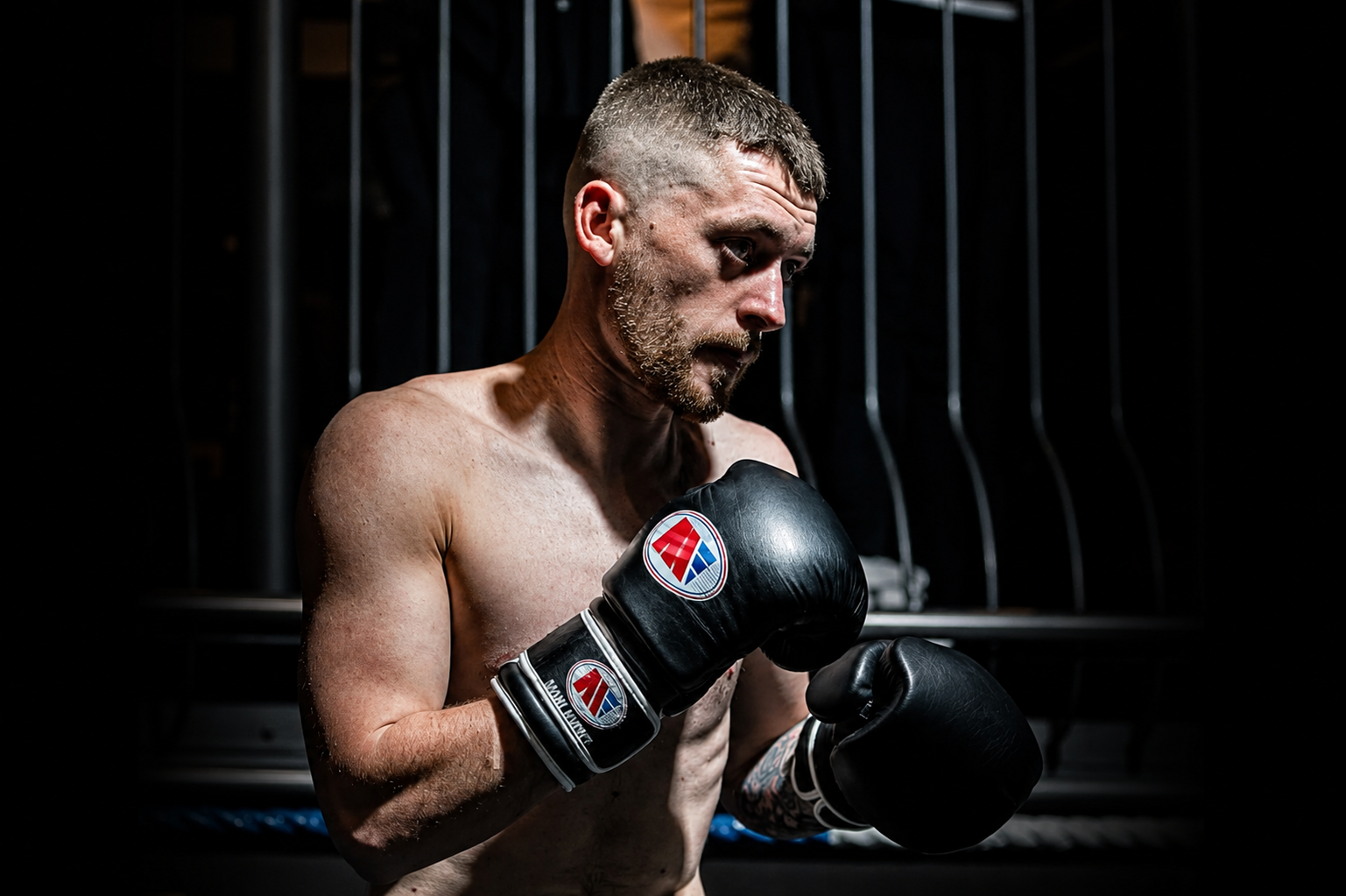 Champ Boxing preview image